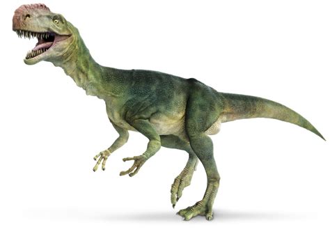 dinosaurs  dino expo