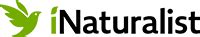 inaturalist wikipedia