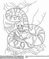 Rattlesnake Sheets Coloringhome Doverpublications Wetlands Dover sketch template
