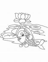 Lotus Fish Lake Coloring Pages sketch template