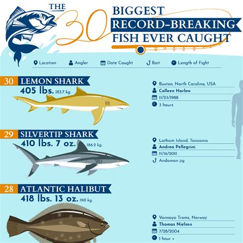biggest record breaking fish  caught hmy yachts