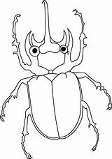 Coloring Beetle Pages Animals Amazing Tocolor Sheet Color Template sketch template