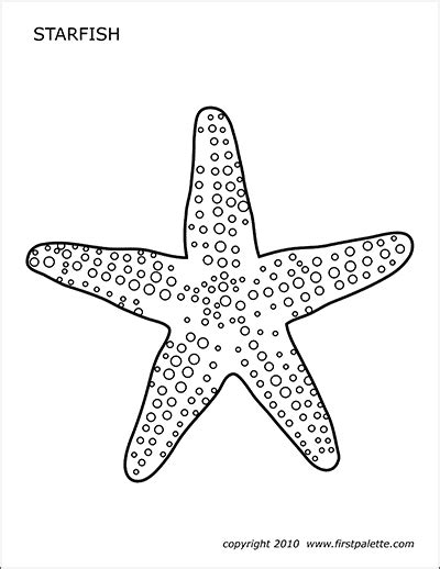 starfish  printable templates coloring pages firstpalettecom