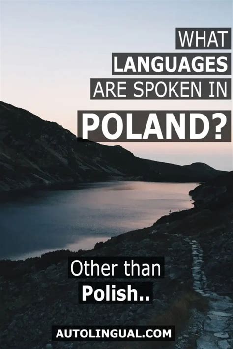 What Languages Are Spoken In Poland Other Than Polish Autolingual