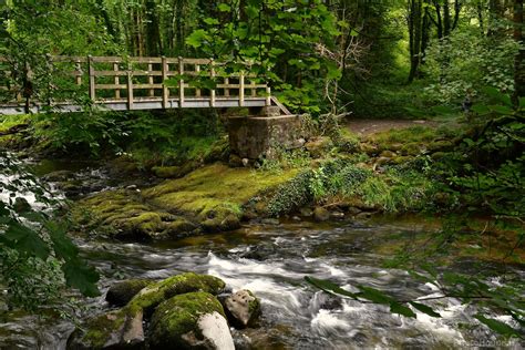 image  afon dwyfor river llanystumdwy