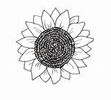 Colorat Soarelui Floarea Planse Cu Interferente sketch template