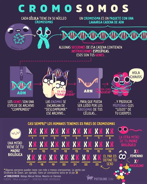 Entendiendo Qué Son Los Cromosomas Enseñanza Biología Biología