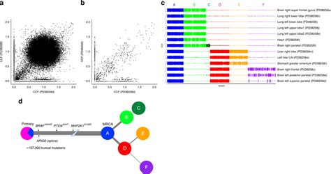 subtracting  clonal cluster revealed subclonal diversification