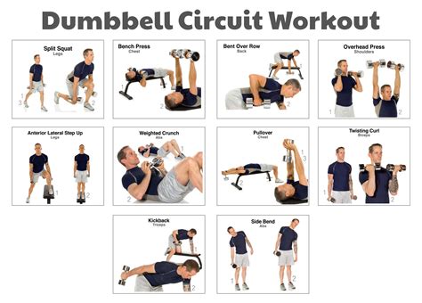 printable dumbbell workout poster     printablee