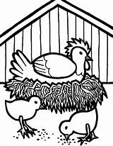 Chicken Coop Hen Coloring Egg Pages Hatching Drawing Getdrawings Netart Drawings sketch template