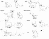 Coloring Warrior Cats Cat Pages Kits Warriors Anime Print Star Ages Colorine Books Library Clipart Coloringhome Popular sketch template