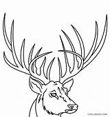 Deer Antlers Hirsch Hirschgeweih Cool2bkids Antler sketch template