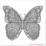 Butterfly Schmetterling sketch template