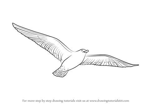 google  drawingtutorialscom bird drawings flying