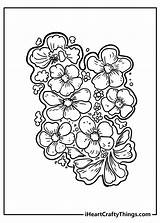 Flower Iheartcraftythings Shortpixel sketch template