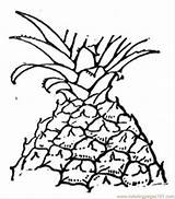 Coloring Pineapple Library Clipart Line sketch template