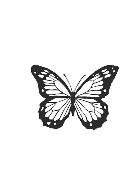 black monarch butterfly outline canvas print  sale