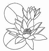 Coloring Water Lily раскраски Printable Lilies цветы Getcolorings Acoloringbook Color Flowers выбрать доску sketch template