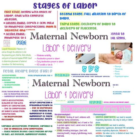 labor  delivery maternal newborn ob nursing notes etsy nursing