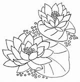 Water Lily Lilies Line Coloring Getdrawings Drawing sketch template