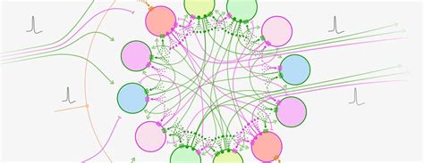 complex wiring  neural networks uw college  arts sciences