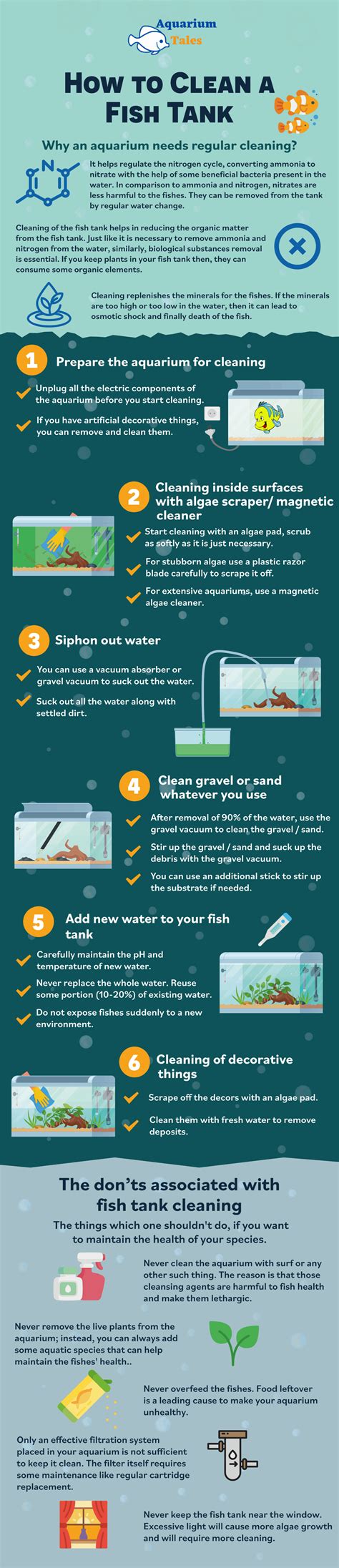 clean  fish tank  infographic demonstration