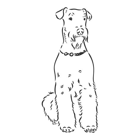 airedale coloring pages