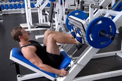 quad exercises muscle  fitness   build muscle