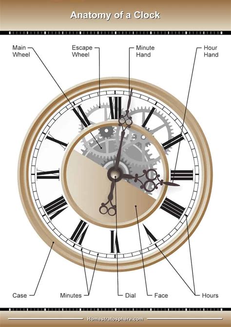 grandfather clock parts diagram hanenhuusholli