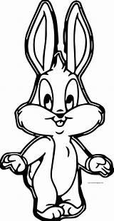Bunny Bugs Tunes Wecoloringpage sketch template