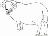 Sheep Ram Coloring Blackface Pages Coloringpages101 Kids Color Animals sketch template