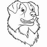 Australian Shepherd Coloring Drawing Pages Dog Sheets Dogs Small Color Drawings Puppy Colouring Tattoos Sheet Tags Doggies Cubs Aufkleber Pyrenees sketch template