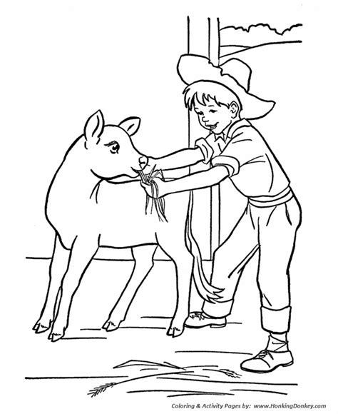 farm work  chores coloring page farm boy feeding   calf