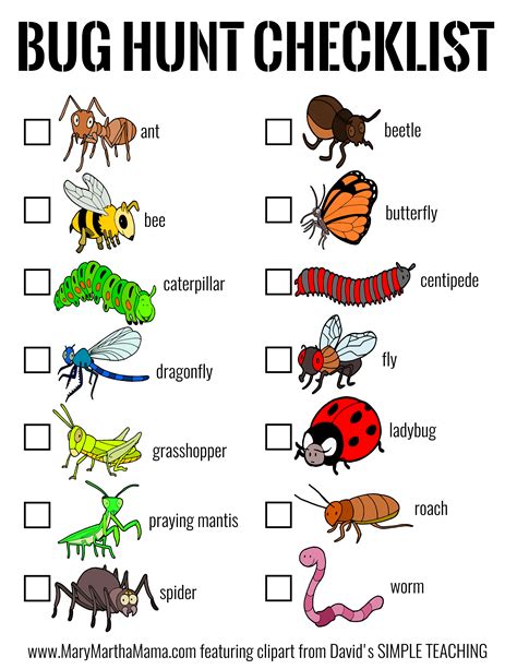insects theme preschool insects preschool insect activities