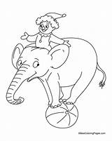 Balancing Elephant Ball Coloring sketch template