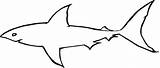 Squalo Shark sketch template