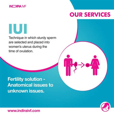 intrauterine insemination iui fertility treatment the good news blog