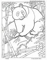 Kleurplaten Pandabeer Mammals Kung Tulamama Dieren Malvorlage Topkleurplaat Colouringpages Stemmen Stimmen sketch template