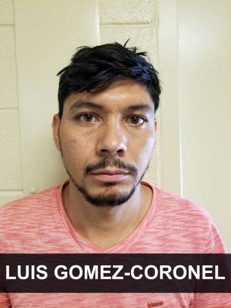 border patrol arrests aggravated felon sex offender the