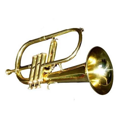 horn  instrument brass baritone polish horn  instrument