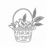 Shavuot Joodse Jewish Hebrew Figs Grapes Pomegranate Drawn Naadloze Patroon Vakantie sketch template