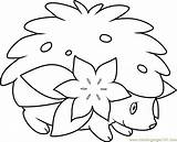 Coloring Shaymin Pokemon Pages Igglybuff Color Getcolorings Getdrawings Coloringpages101 Pokémon sketch template