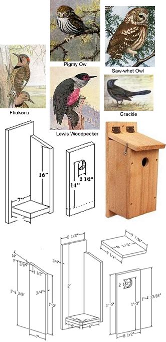 bird   owl birdhouse plans