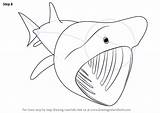 Basking Sharks Drawingtutorials101 Fishes sketch template