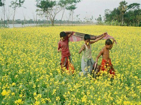 t of nature natural beauty of bangladesh