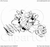 Slashing Aggressive Mascot Vicious Bear Illustration Through Wall Royalty Clipart Atstockillustration Vector Geo 2021 sketch template