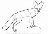 Fox Kit Draw Drawing Animals Wild Tutorials Step sketch template