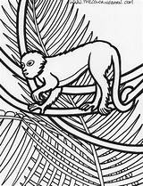 Rainforest Monkey Coloringhome Snake Printables Toucan Preschool sketch template