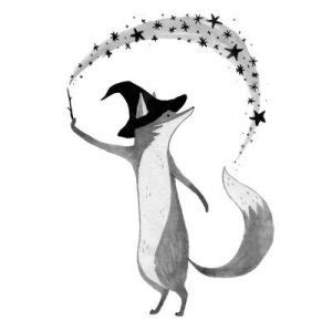 magic fox babak aminazads blog