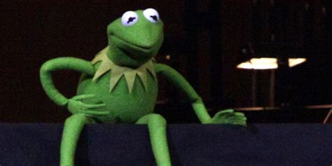 kermit the frog s best advice for a happy life